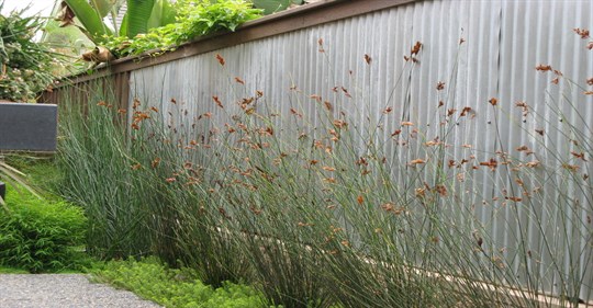 vertical corrugated fence tulsa